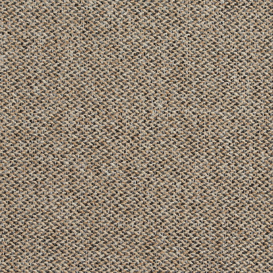 R251 Plain & Solid Lexington Grey & Silver Charlotte Fabrics