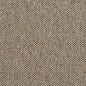 R251 Plain & Solid Lexington Grey & Silver Charlotte Fabrics