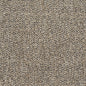 R253 Plain & Solid Rockford Grey & Silver Charlotte Fabrics