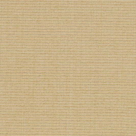R261 Plain & Solid Sand Beige & Taupe Charlotte Fabrics