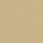 R261 Plain & Solid Sand Beige & Taupe Charlotte Fabrics