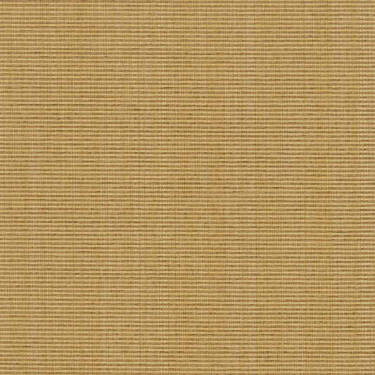 R263 Plain & Solid Wheat Beige & Taupe Charlotte Fabrics