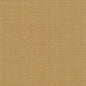 R263 Plain & Solid Wheat Beige & Taupe Charlotte Fabrics