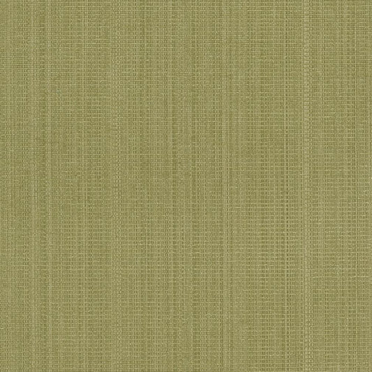 R264 Plain & Solid Sage Green Charlotte Fabrics
