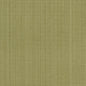 R264 Plain & Solid Sage Green Charlotte Fabrics