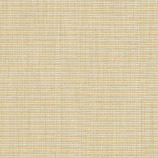 R265 Plain & Solid Cream Beige & Taupe Charlotte Fabrics