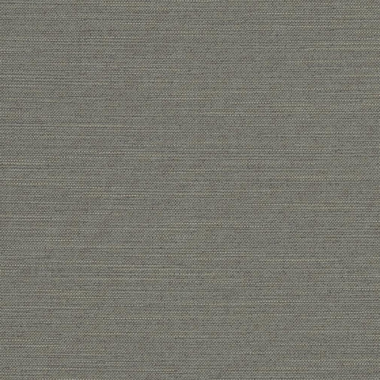 R280 Plain & Solid Iron Grey & Silver Charlotte Fabrics
