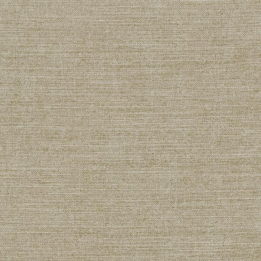 R283 Plain & Solid Fawn Beige & Taupe Charlotte Fabrics