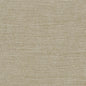 R283 Plain & Solid Fawn Beige & Taupe Charlotte Fabrics