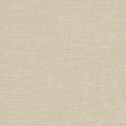 R285 Plain & Solid Sand Beige & Taupe Charlotte Fabrics