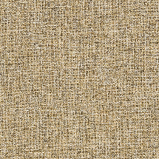 R306 Plain & Solid Cornsilk Beige & Taupe Charlotte Fabrics