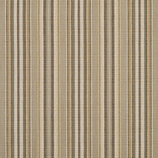 R310 Stripe Coffee Stripe Beige & Taupe Charlotte Fabrics