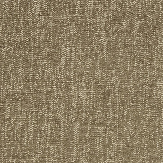 R320 Plain & Solid Sable Beige & Taupe Charlotte Fabrics
