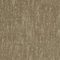 R320 Plain & Solid Sable Beige & Taupe Charlotte Fabrics