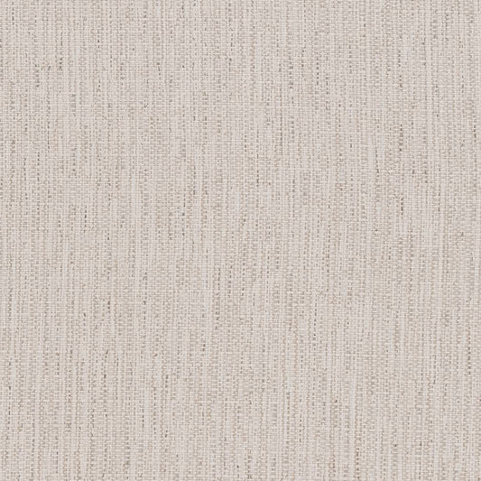 R356 Plain & Solid Stone Grey & Silver Charlotte Fabrics