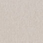 R356 Plain & Solid Stone Grey & Silver Charlotte Fabrics