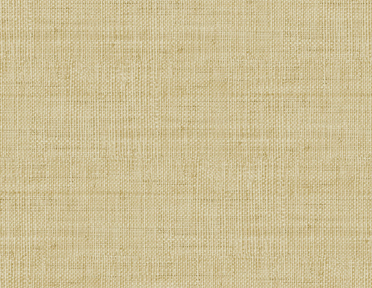 RA40303 Seabrook Designs Raffia Wallpaper Wild Bind Sand