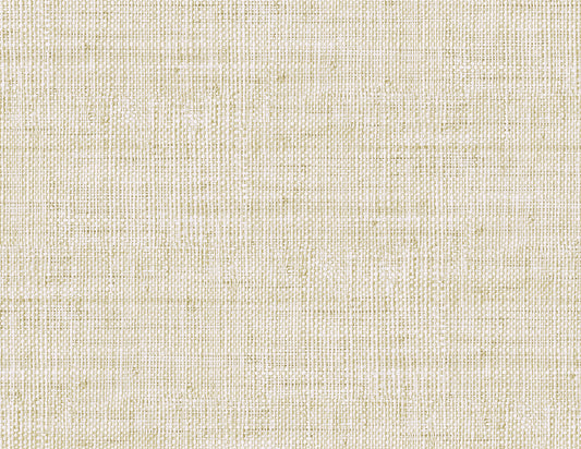RA40311 Seabrook Designs Raffia Wallpaper Wild Bind Ivory