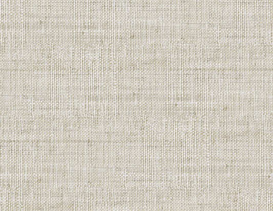 RA40313 Seabrook Designs Raffia Wallpaper Wild Bind Foam