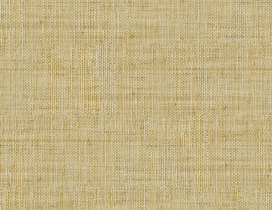 RA40314 Seabrook Designs Raffia Wallpaper Wild Bind Honey