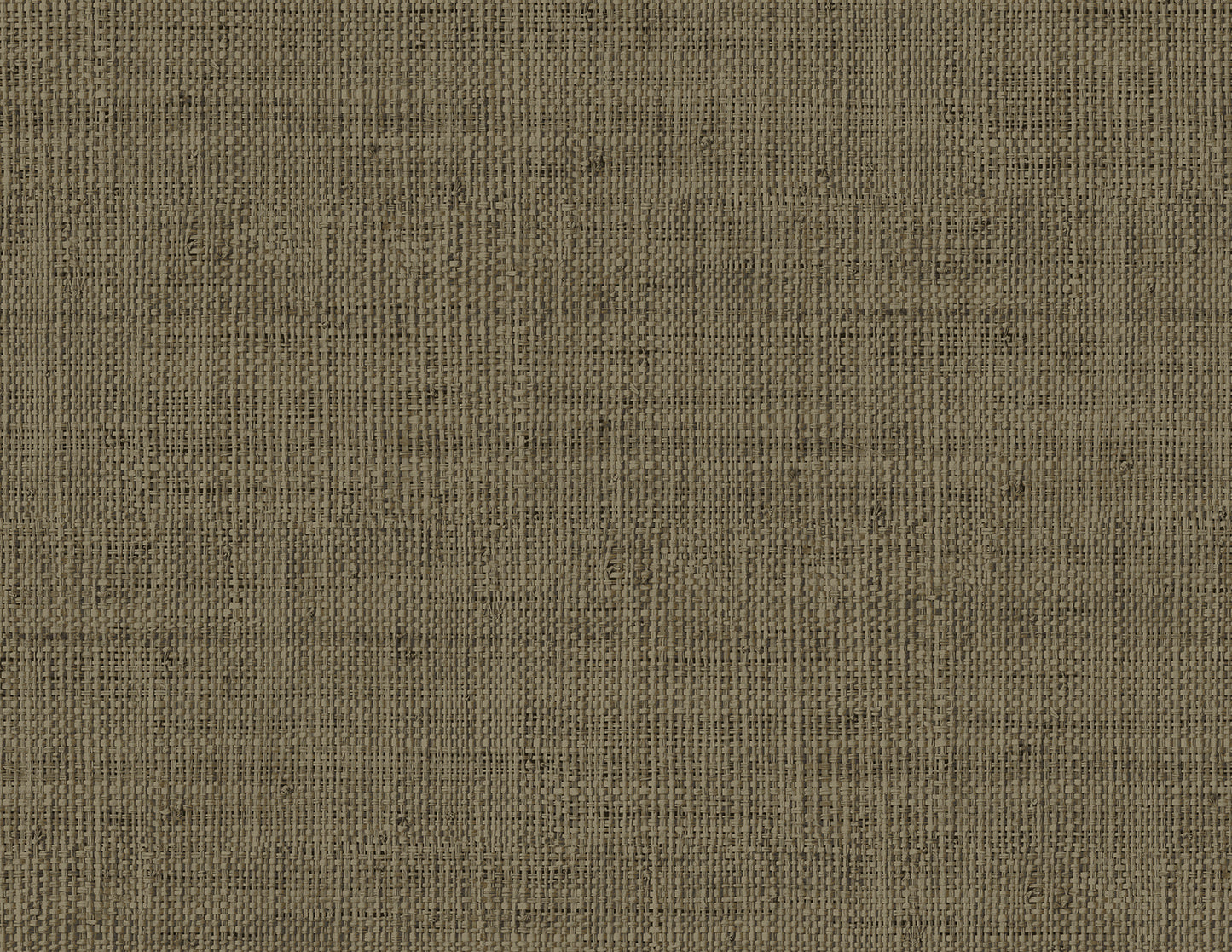 RA40316 Seabrook Designs Raffia Wallpaper Wild Bind Coffee