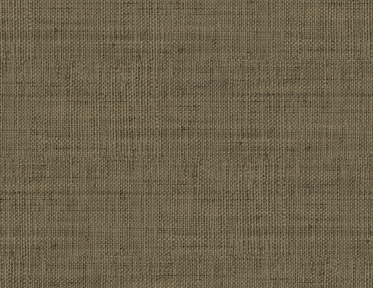 RA40316 Seabrook Designs Raffia Wallpaper Wild Bind Coffee