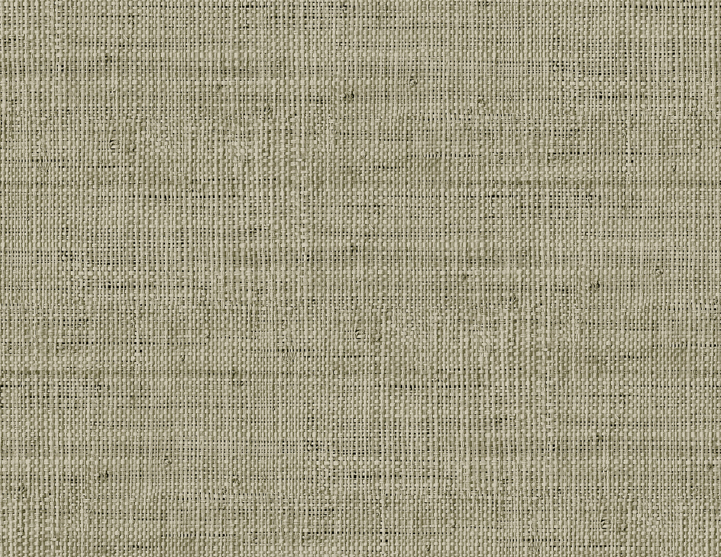 RA40317 Seabrook Designs Raffia Wallpaper Wild Bind Taupe