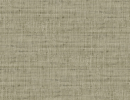 RA40317 Seabrook Designs Raffia Wallpaper Wild Bind Taupe
