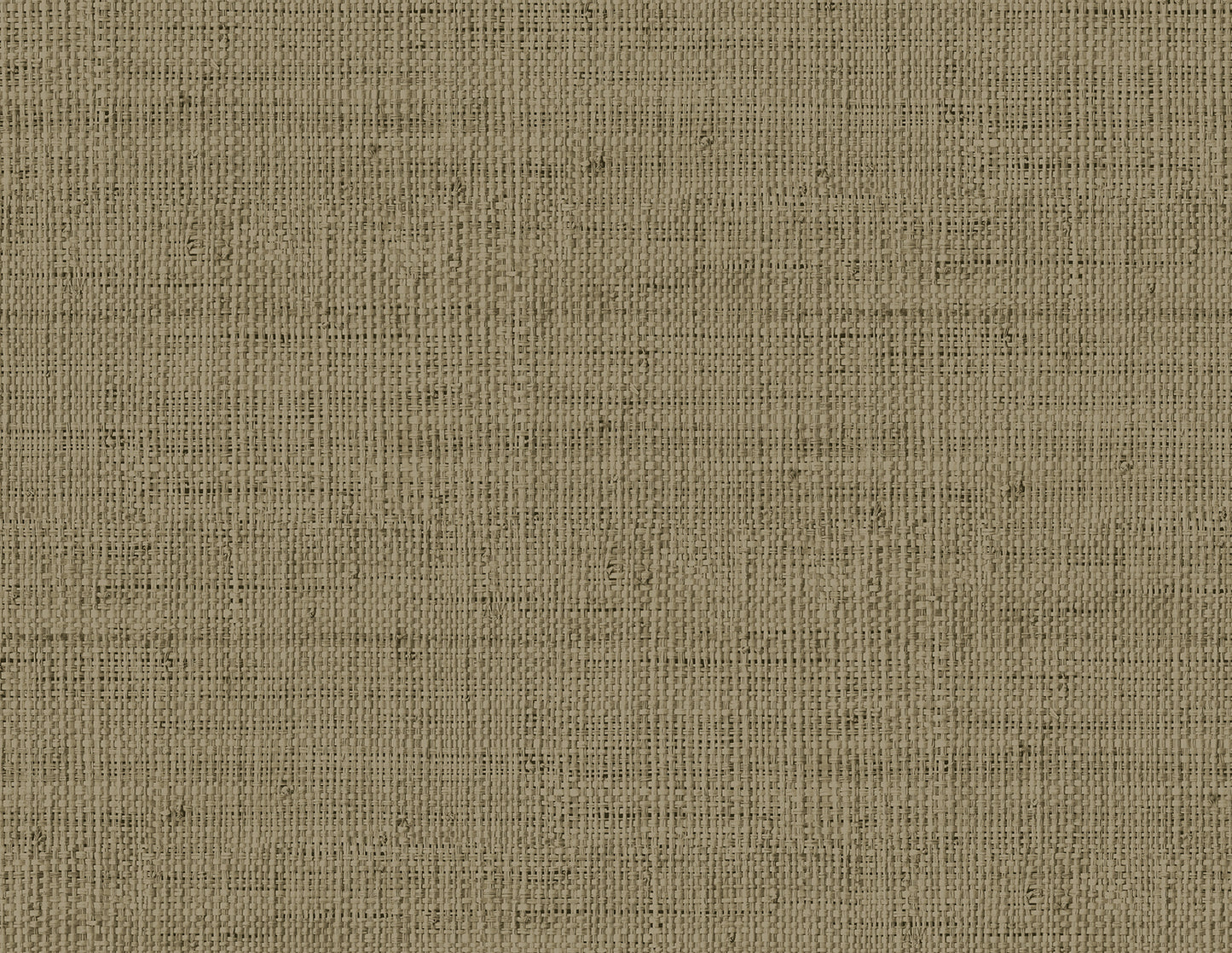 RA40350 Seabrook Designs Raffia Wallpaper Wild Bind Cafe Latte