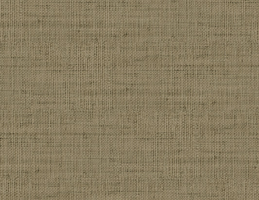 RA40350 Seabrook Designs Raffia Wallpaper Wild Bind Cafe Latte