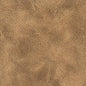 RADN-2 STOUT RADNOR 2 TRUFFLE TRUFFLE UPHOLSTERY