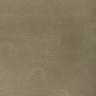 RAMBLER-106 RAMBLER ANTLER KRAVET CONTRACT UPHOLSTERY