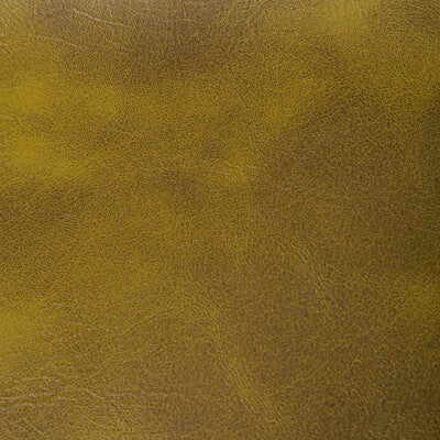 RAMBLER-130 RAMBLER CACTUS KRAVET CONTRACT UPHOLSTERY