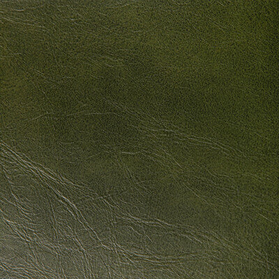 RAMBLER-3 RAMBLER VERDE KRAVET CONTRACT UPHOLSTERY