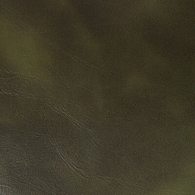 RAMBLER-30 RAMBLER CLOVE KRAVET CONTRACT UPHOLSTERY