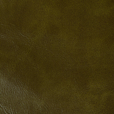 RAMBLER-303 RAMBLER OLIVE BRANCH KRAVET CONTRACT UPHOLSTERY