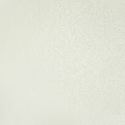RAND-1 RAND GESSO KRAVET CONTRACT UPHOLSTERY