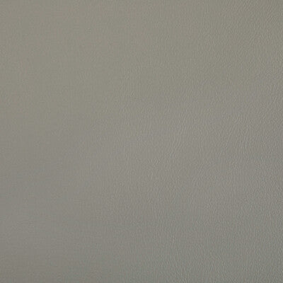 RAND-11 RAND PORCINI KRAVET CONTRACT UPHOLSTERY