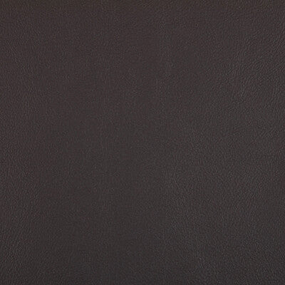 RAND-811 RAND MOCHA KRAVET CONTRACT UPHOLSTERY
