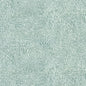 RAYM-2 STOUT RAYMOND 2 AQUA AQUA MULTIPURPOSE