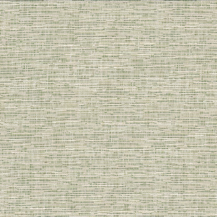 RECO-1 CRYPTON RECORD 1 GRASS GRASS MULTIPURPOSE
