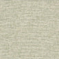 RECO-1 CRYPTON RECORD 1 GRASS GRASS MULTIPURPOSE