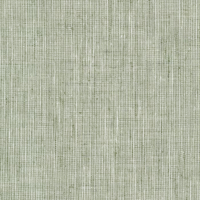 REMB-6 STOUT REMBRANDT 6 SAGE SAGE MULTIPURPOSE
