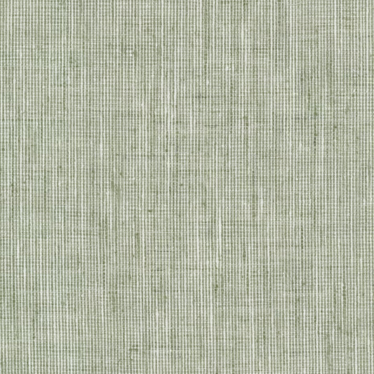REMB-6 STOUT REMBRANDT 6 SAGE SAGE MULTIPURPOSE