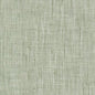REMB-6 STOUT REMBRANDT 6 SAGE SAGE MULTIPURPOSE