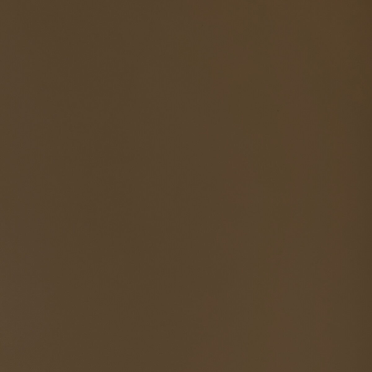 RETOUCH-606 RETOUCH TRUFFLE KRAVET CONTRACT Fabric