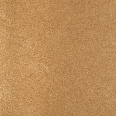 RIND-116 KRAVET DESIGN RIND-116 KRAVET DESIGN UPHOLSTERY