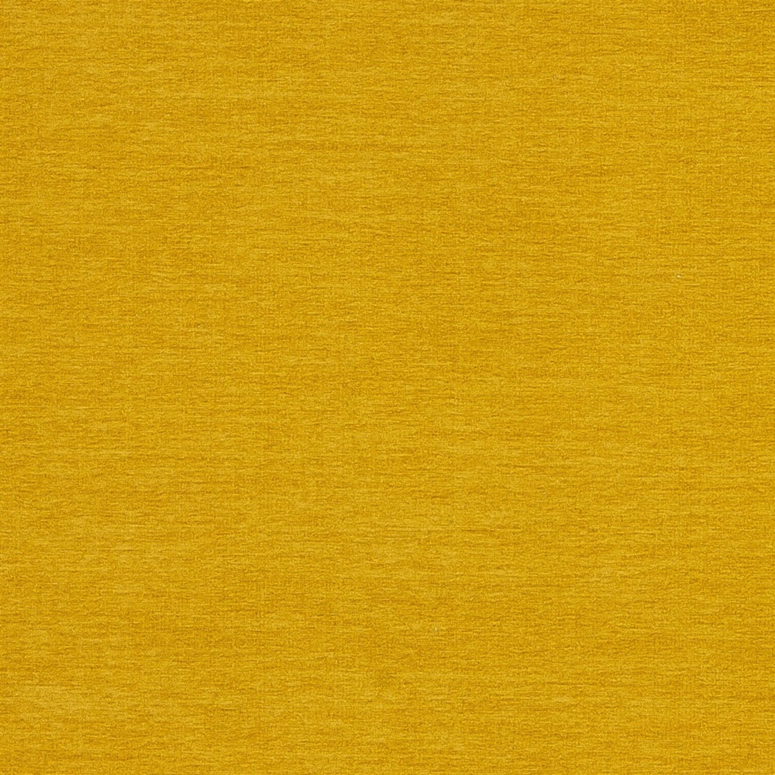 RK0535 Maxwell VELVET SOLID/TEXTURE # 535 MUSTARD PURE&SIMPLEXVIII