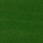 RK0620 Maxwell VELVET SOLID/TEXTURE # 620 VERDANT PURE&SIMPLEXVIII