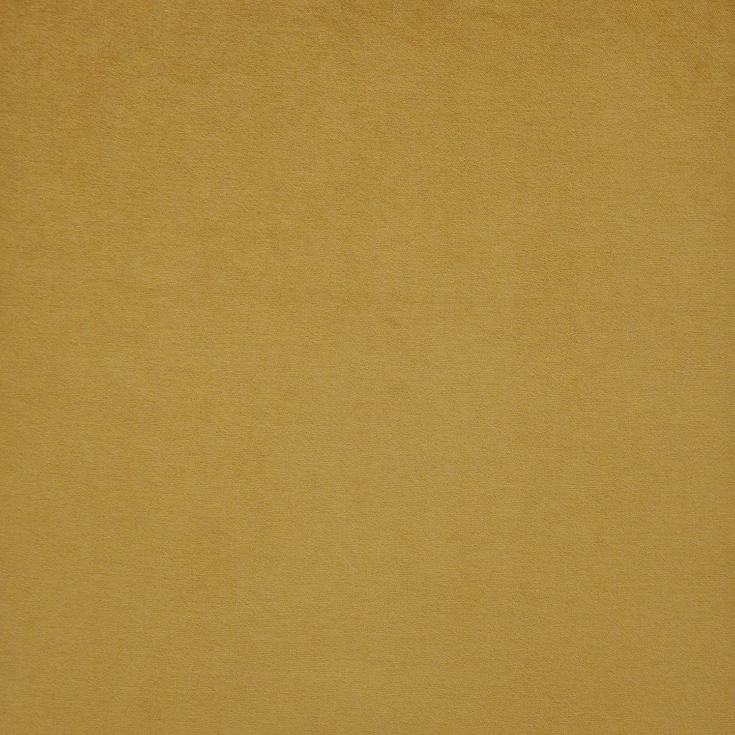 RN0720 Maxwell VELVET SOLID/TEXTURE # 720 SAFFRON VELVETROOM